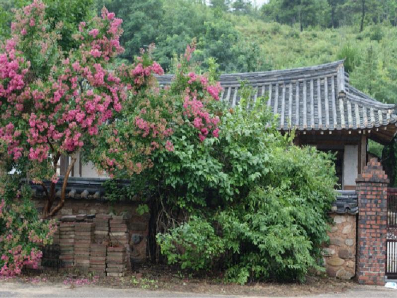 Jeongjaejongtaek Hanok Guesthouse Андон Экстерьер фото